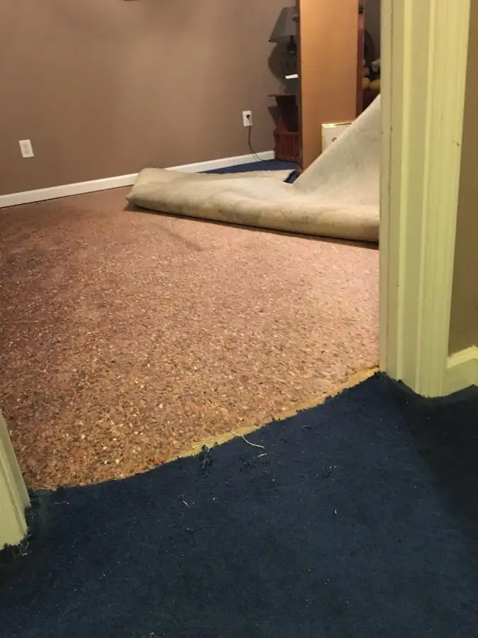 Carpet pad removal revealing water damage during Drying & Dehumidification in Southwest Ranches