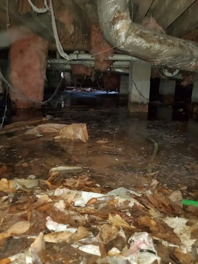 Crawl space flood assessment for Leak Detection & Repair in Southwest Ranches